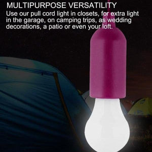 Portable Cordless LED Light bulb